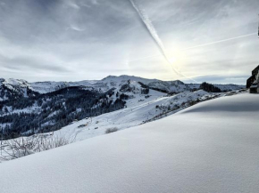 Ski1600 - GrandMassif